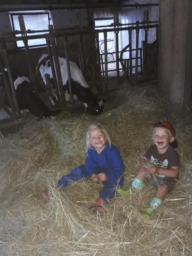 Felderhof Lägenhet Meransen Exteriör bild
