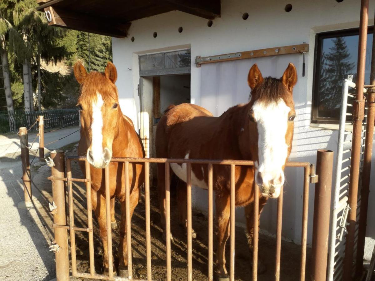 Felderhof Lägenhet Meransen Exteriör bild