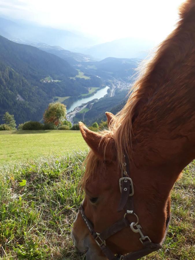 Felderhof Lägenhet Meransen Exteriör bild